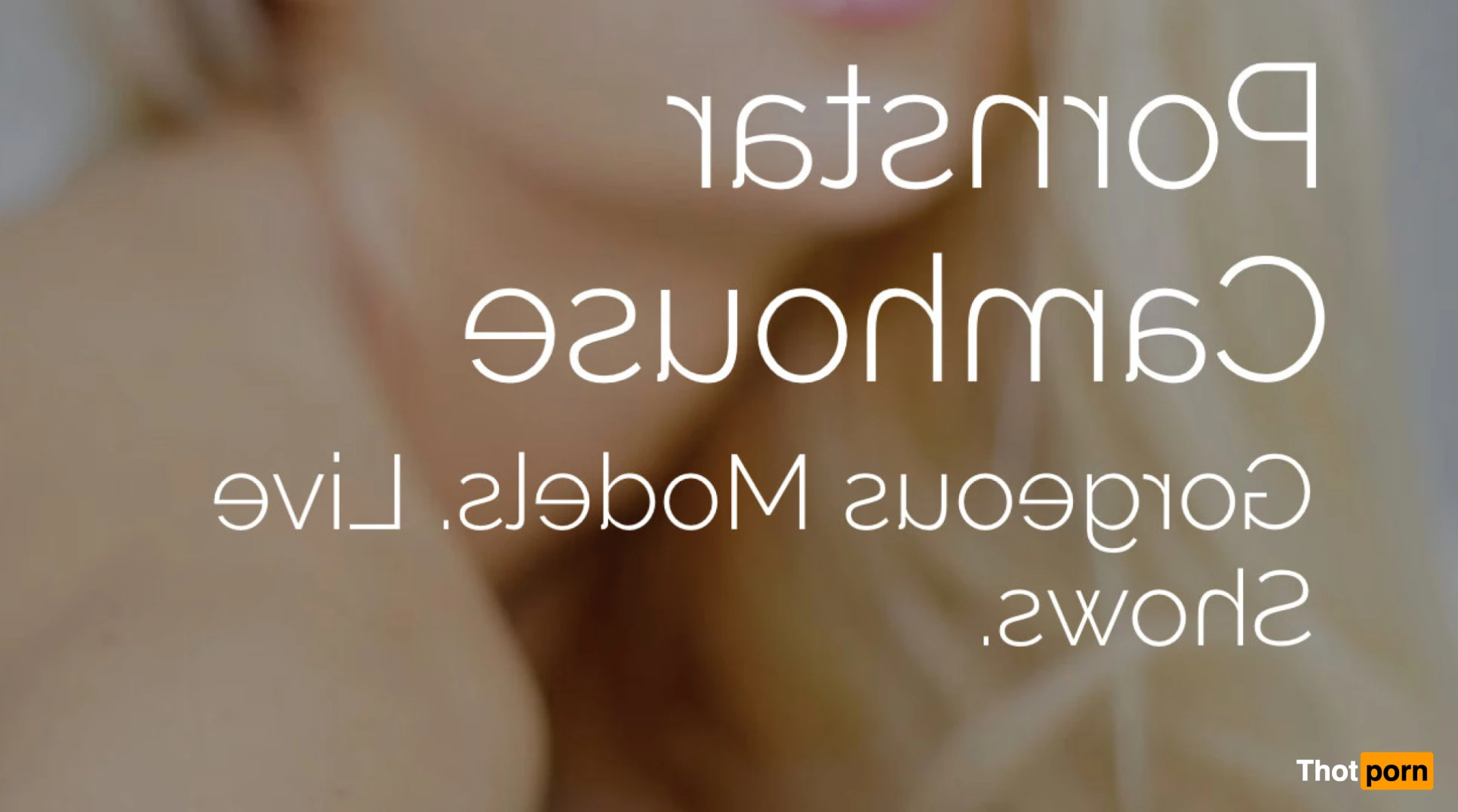 Viva Athena 16537862