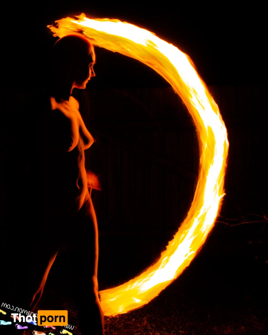 Wandering Cinnamon - Premium 14473905