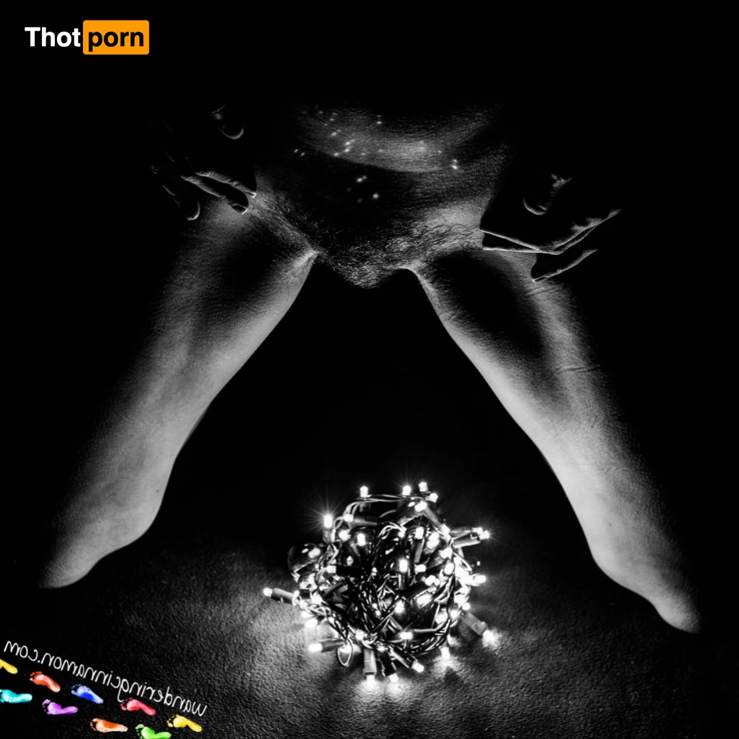 Wandering Cinnamon - Premium 14476242