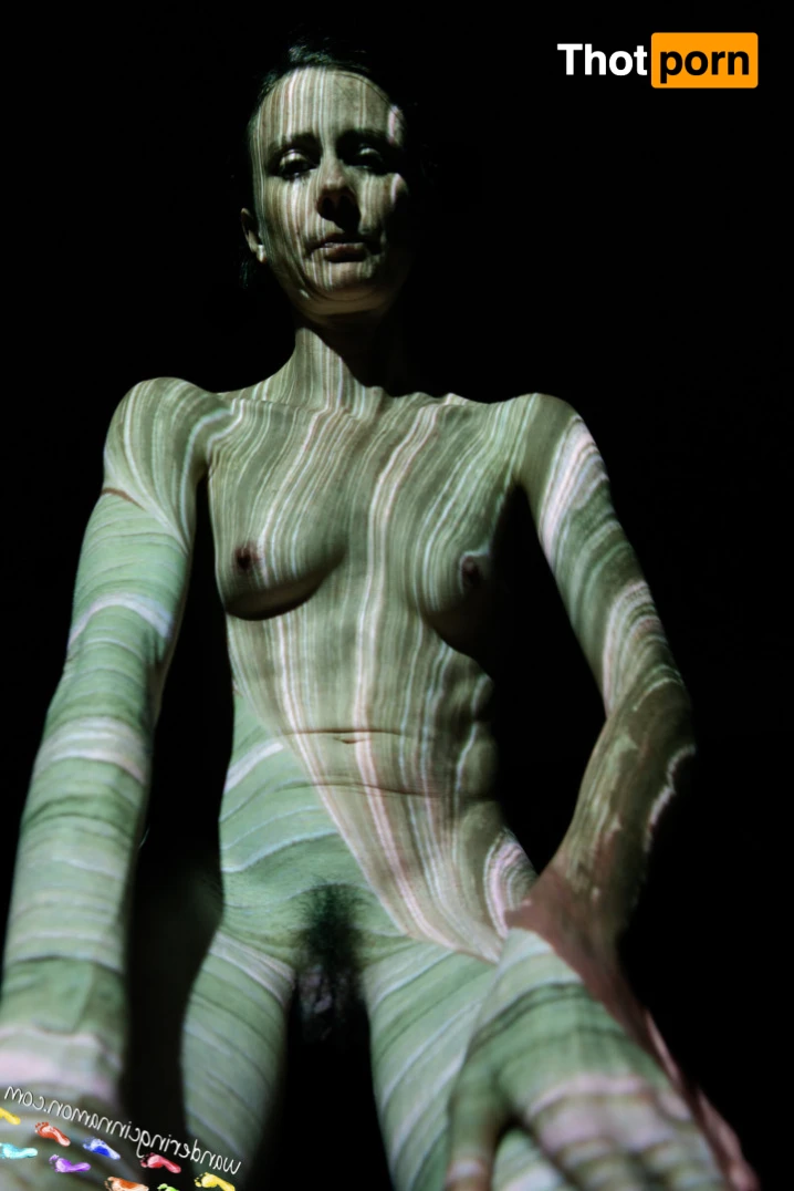 Wandering Cinnamon - Premium 14480756