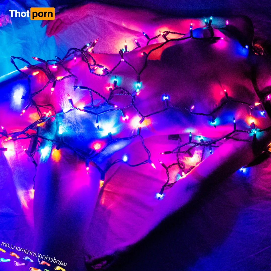 Wandering Cinnamon - Premium 14482667