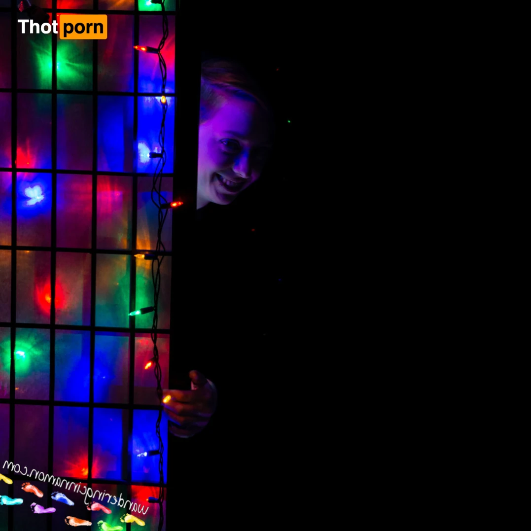 Wandering Cinnamon - Premium 14484180