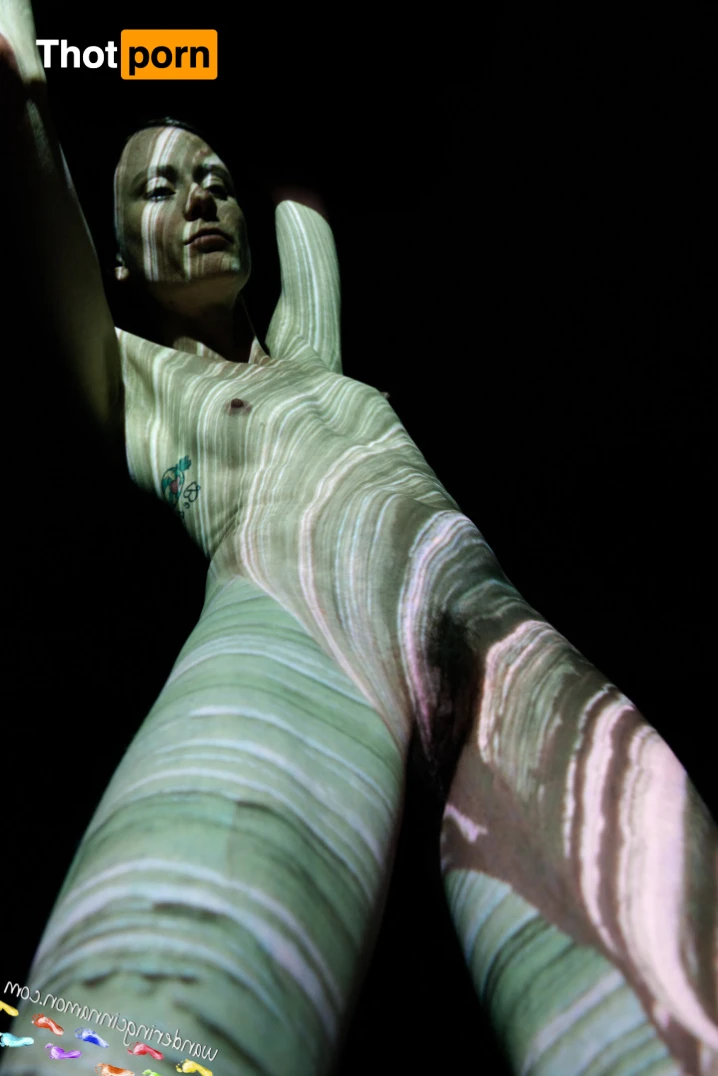 Wandering Cinnamon - Premium 14496131