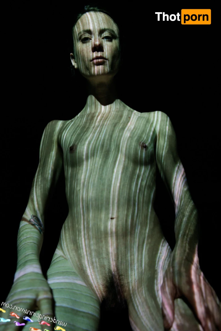 Wandering Cinnamon - Premium 14502887