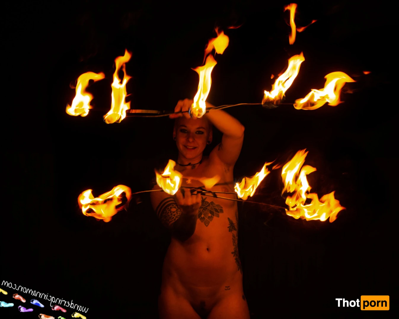 Wandering Cinnamon - Premium 14504594