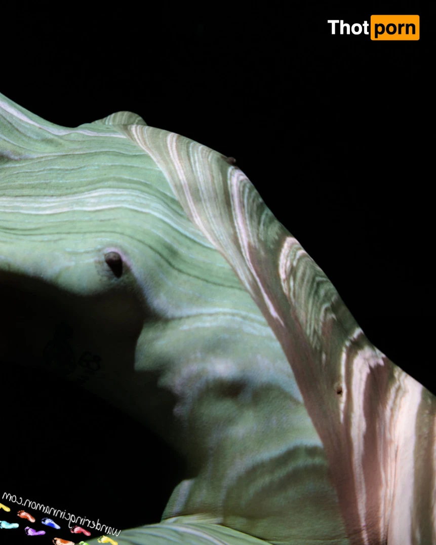 Wandering Cinnamon - Premium 14505971