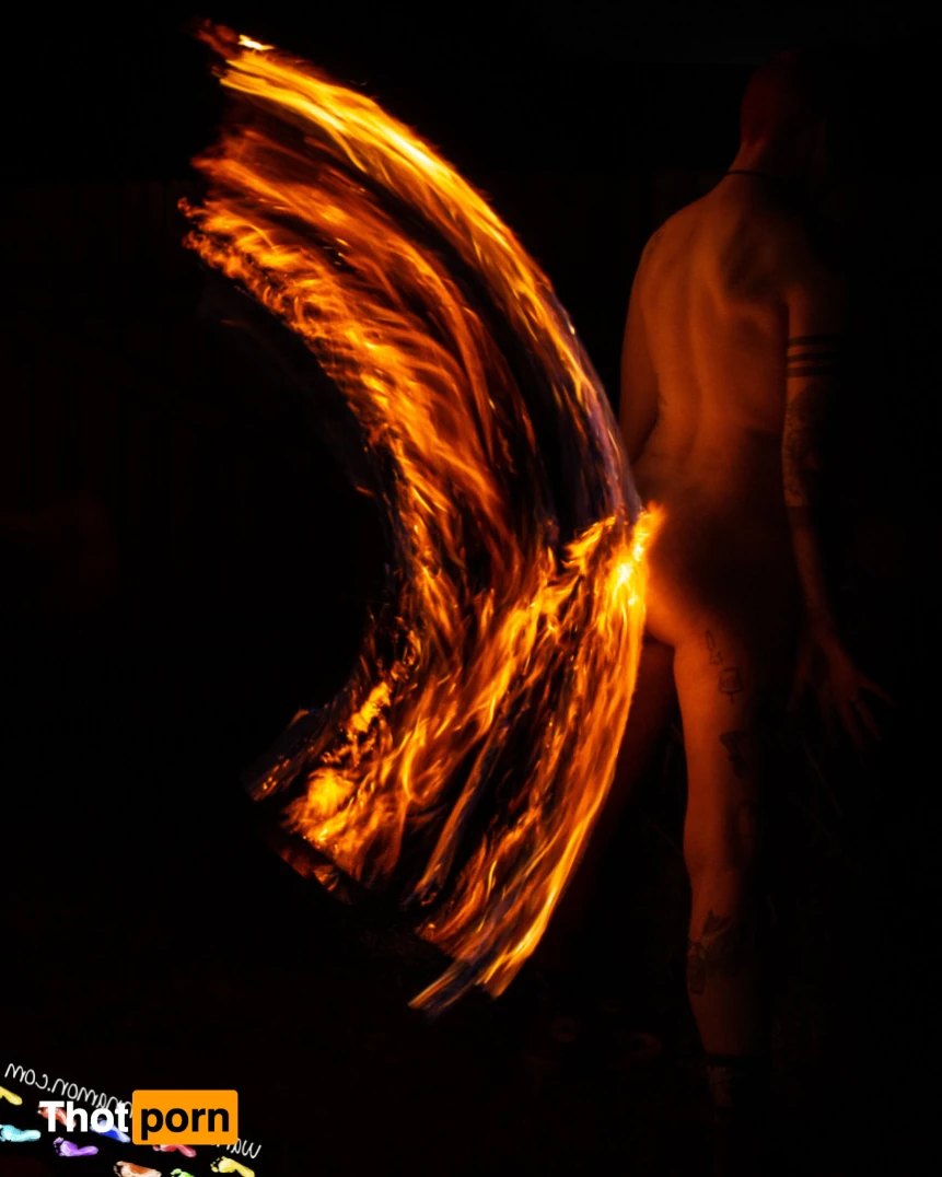 Wandering Cinnamon - Premium 14507830