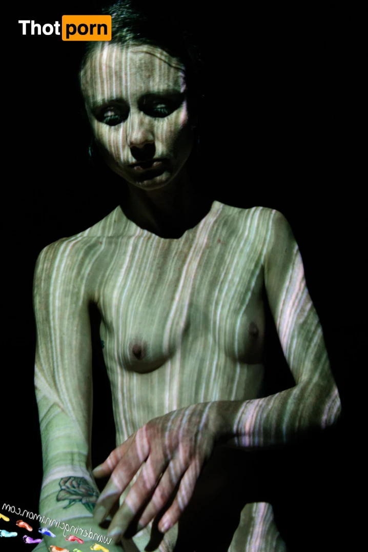 Wandering Cinnamon - Premium 14511863