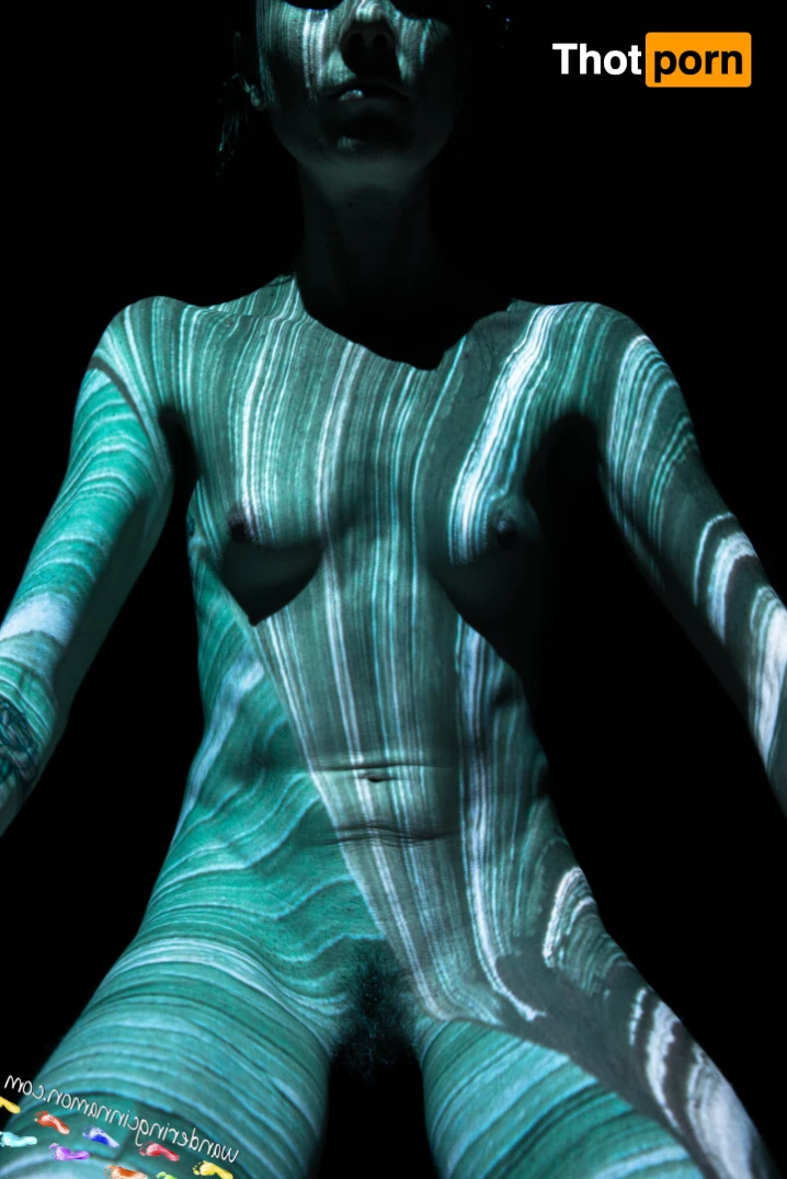 Wandering Cinnamon - Premium 14513952