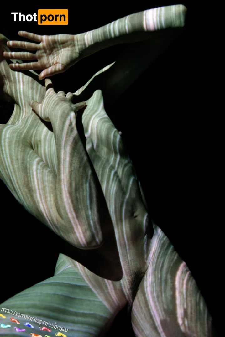 Wandering Cinnamon - Premium 14517768