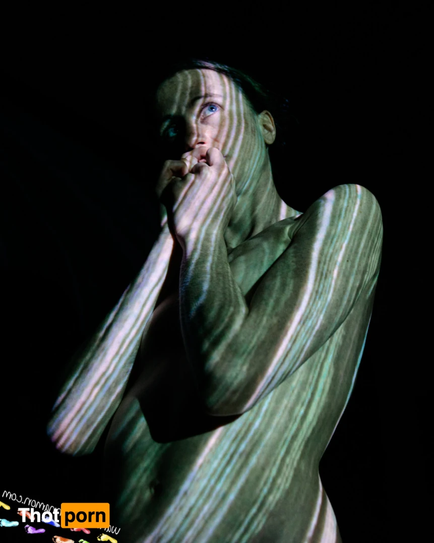 Wandering Cinnamon - Premium 14521946