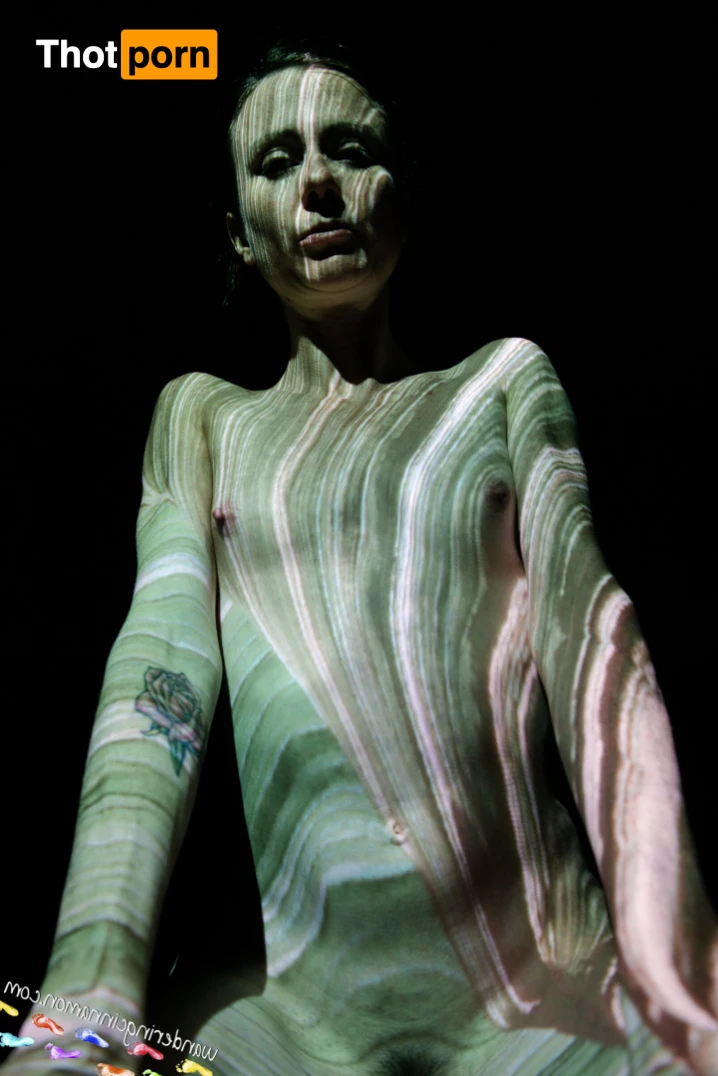 Wandering Cinnamon - Premium 14523487