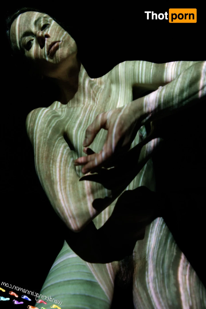 Wandering Cinnamon - Premium 14527494