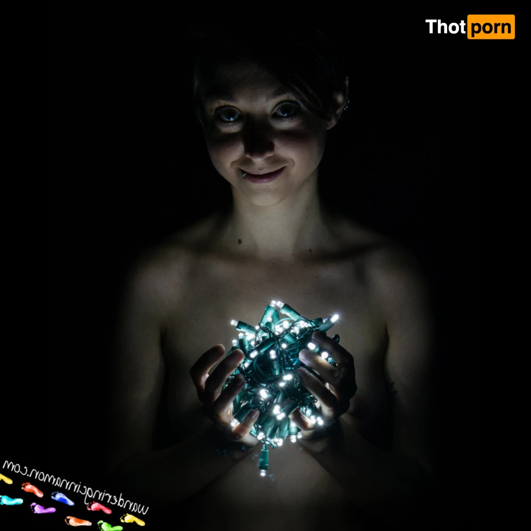 Wandering Cinnamon - Premium 14529546