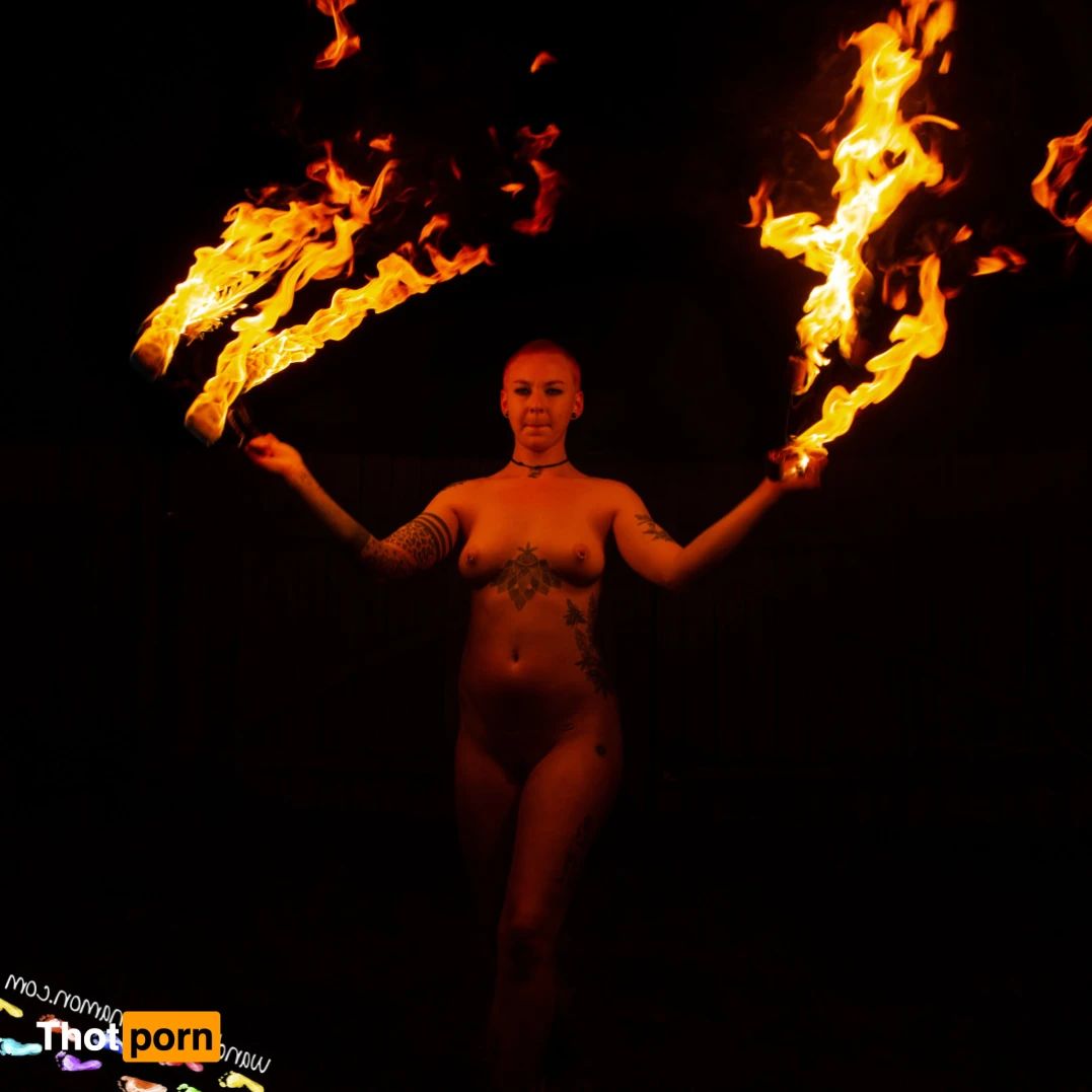 Wandering Cinnamon - Premium 14533972