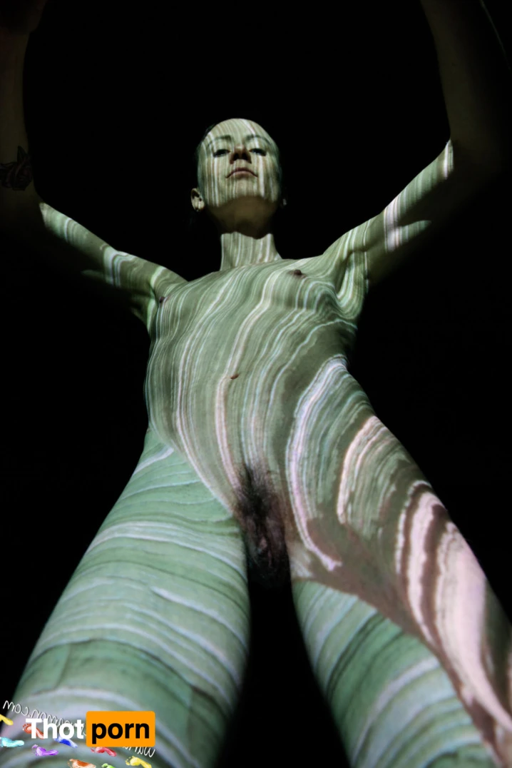 Wandering Cinnamon - Premium 14535469