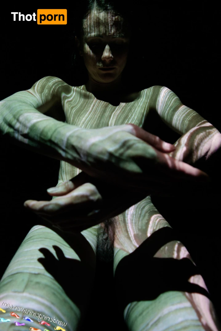 Wandering Cinnamon - Premium 14537486