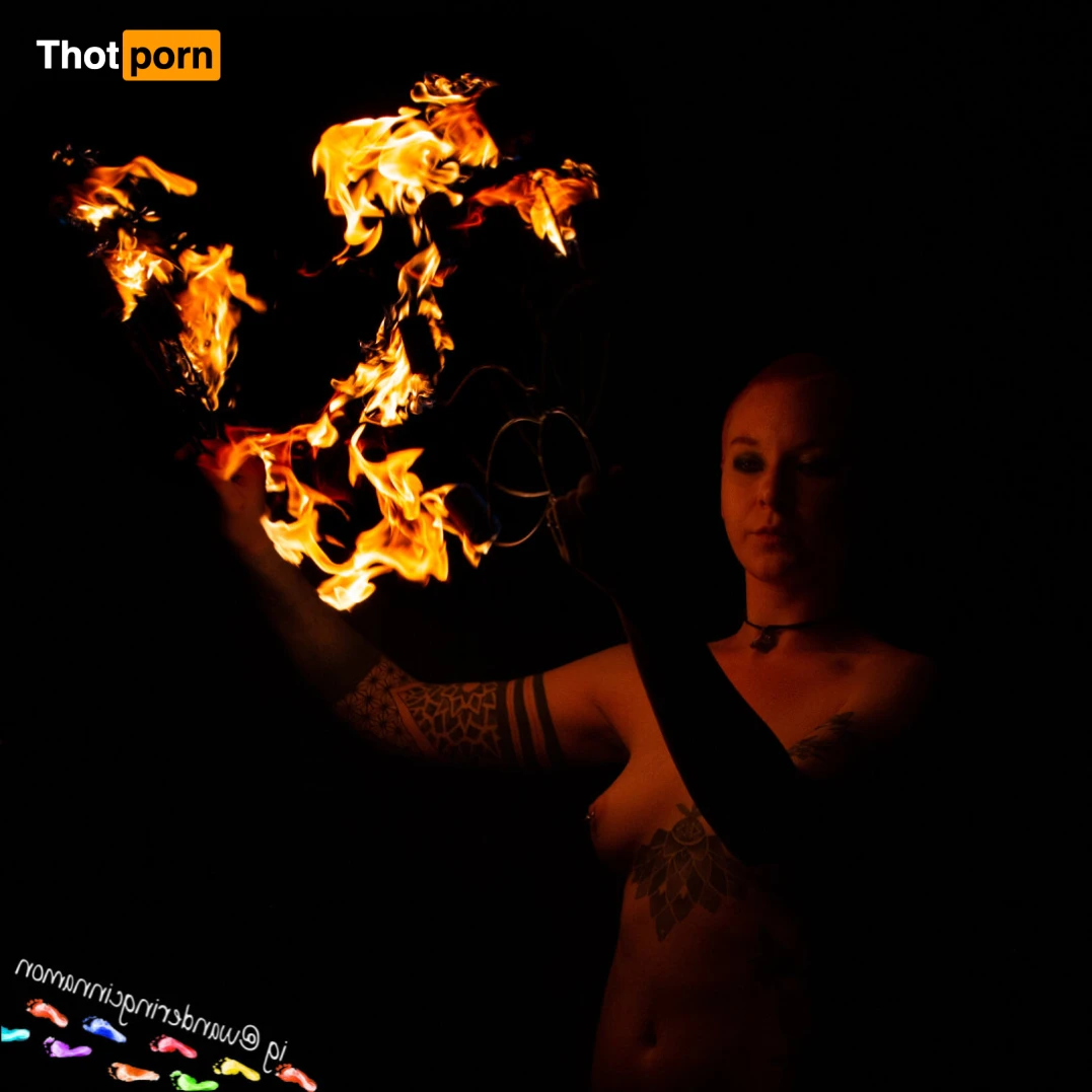 Wandering Cinnamon - Premium 14539158