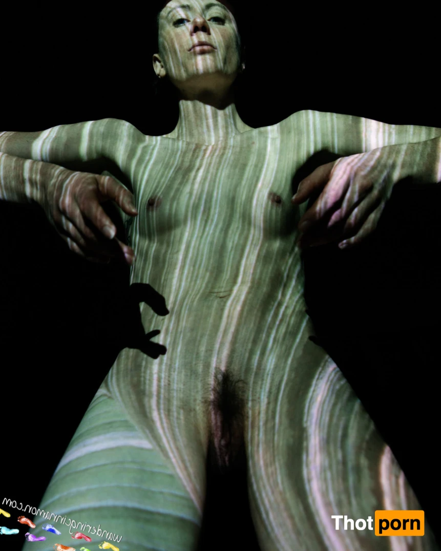 Wandering Cinnamon - Premium 14540708