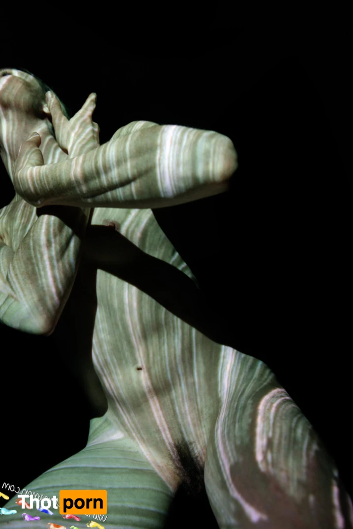 Wandering Cinnamon - Premium 14544118