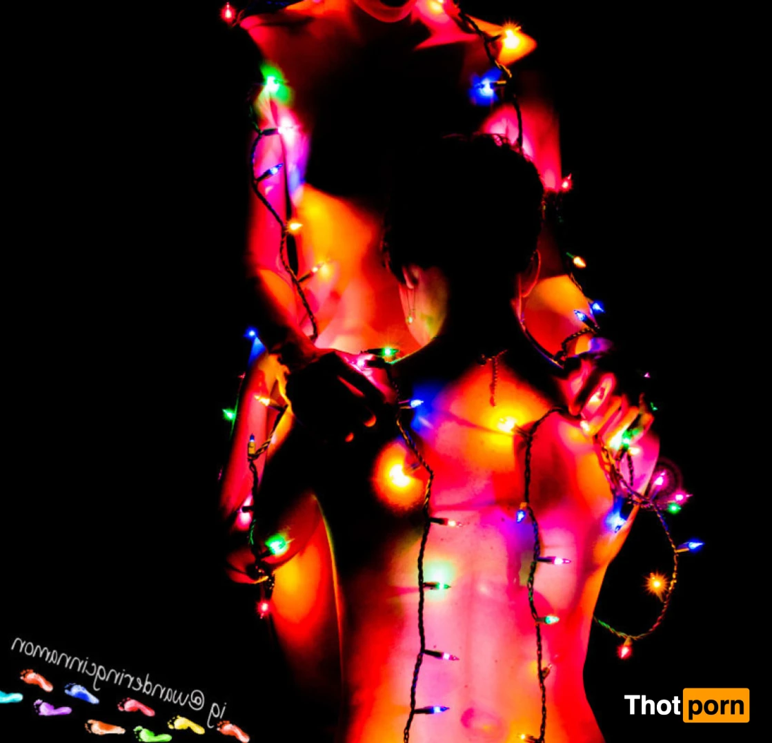 Wandering Cinnamon - Premium 14546048