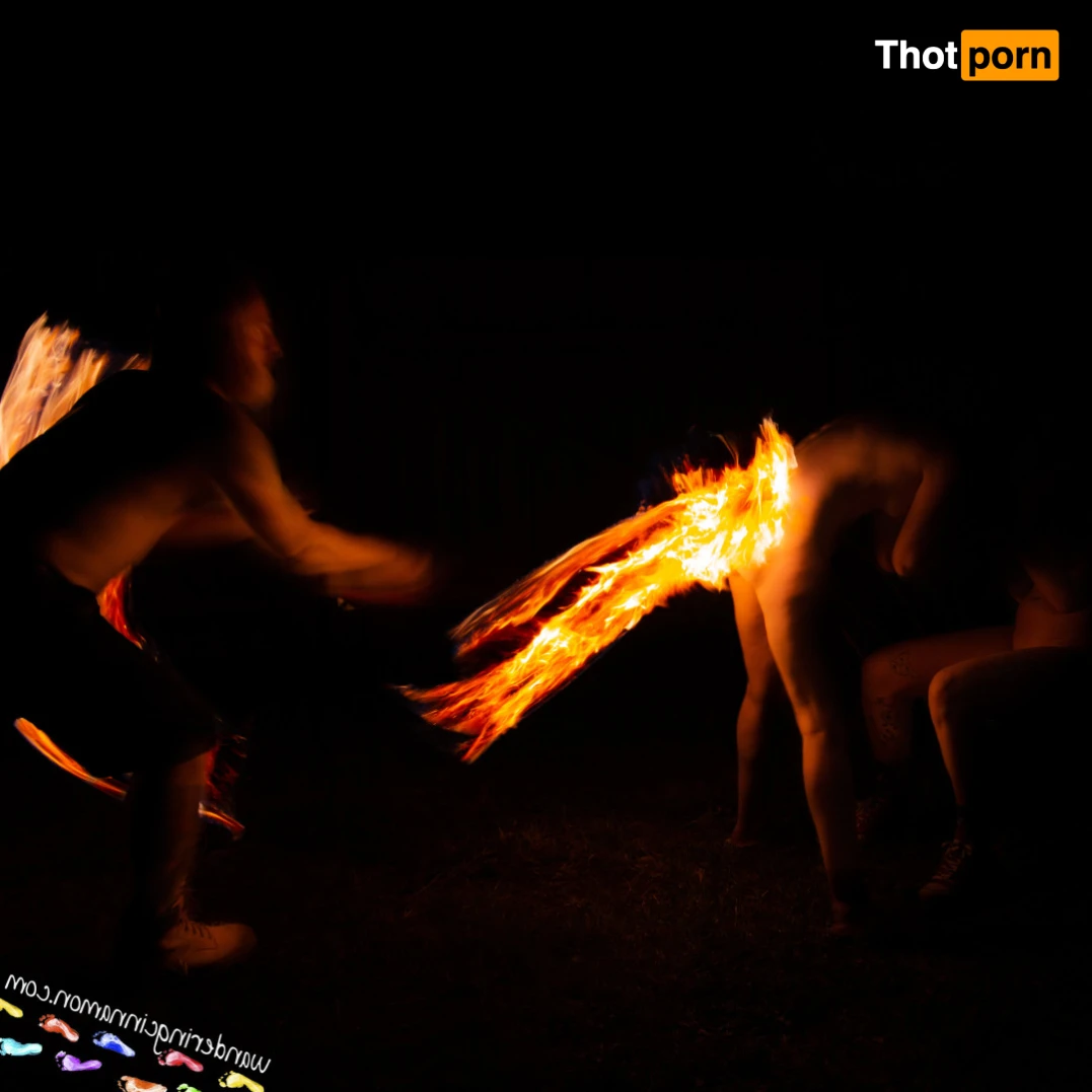 Wandering Cinnamon - Premium 14547894