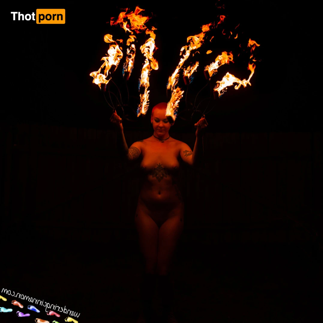 Wandering Cinnamon - Premium 14551580