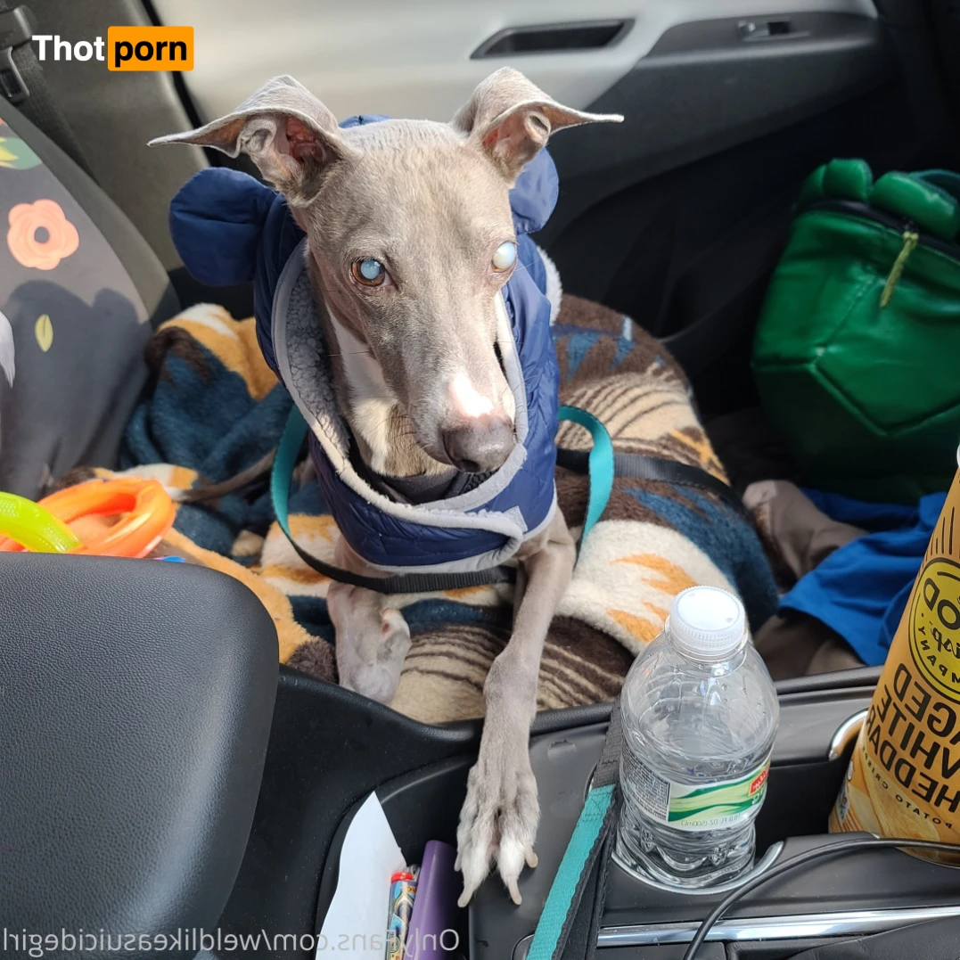 weldlikeababe 14379796