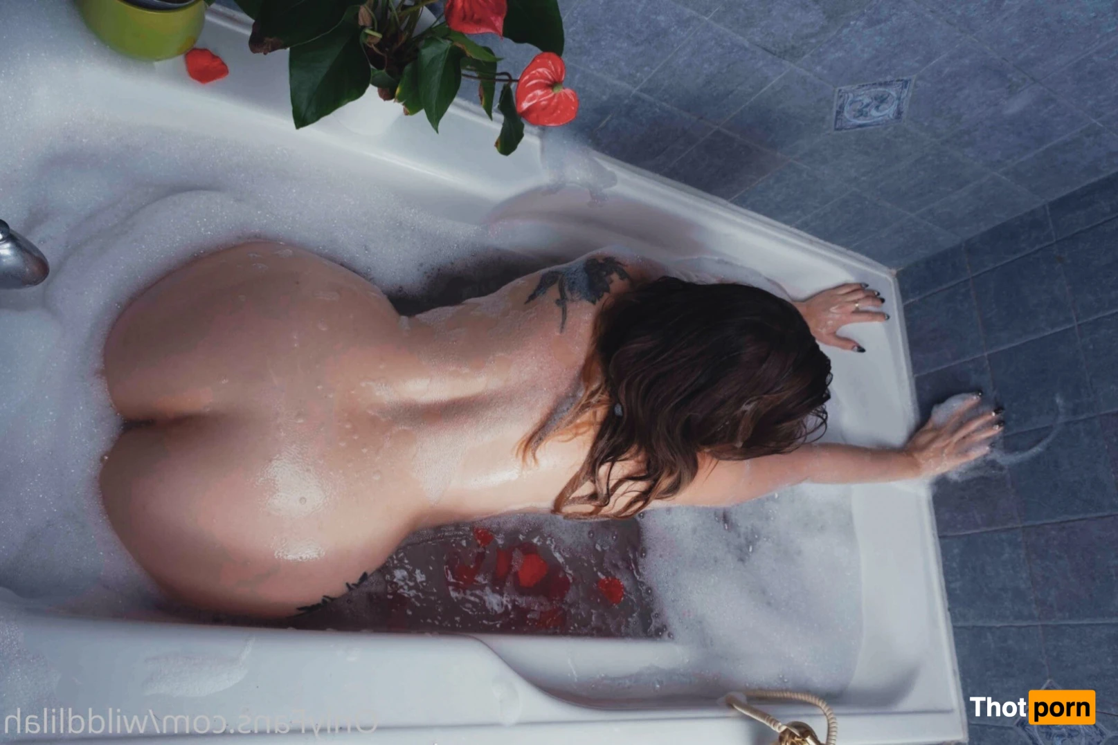 Wild D'lilah 11315812