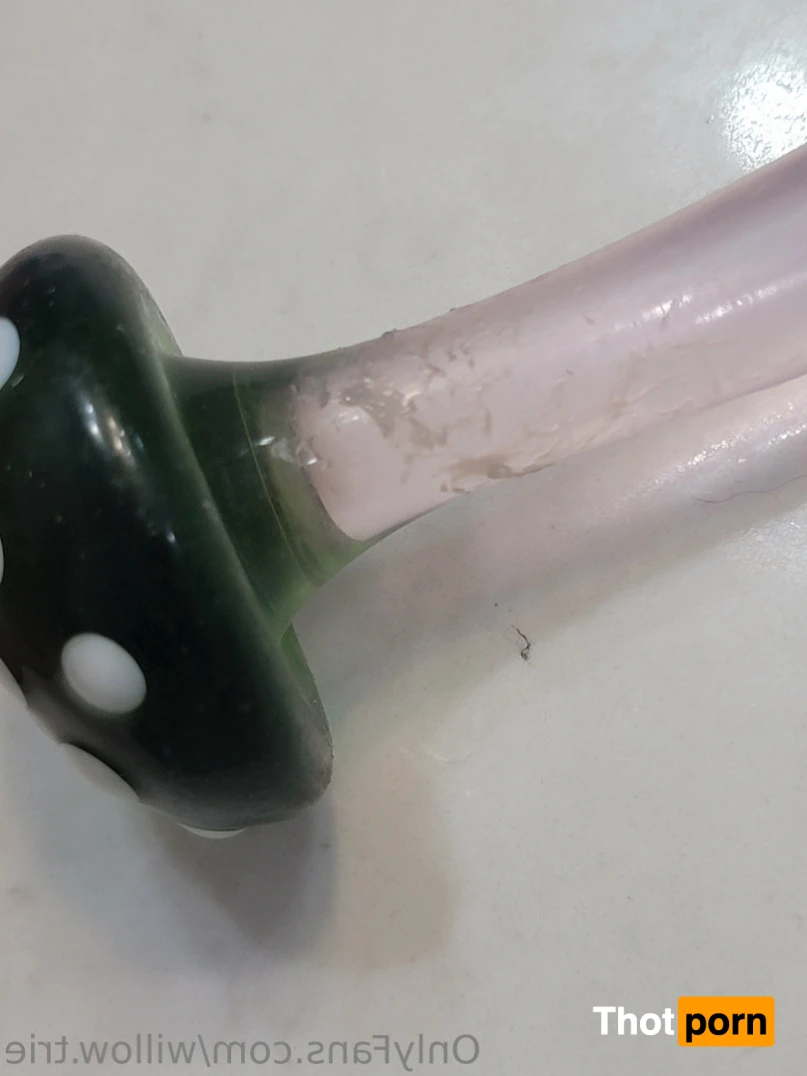 Willow Trie 11547368