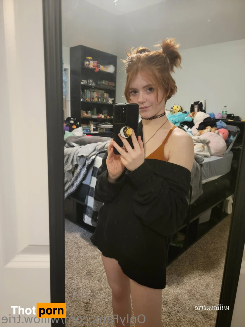 Willow Trie 12574924