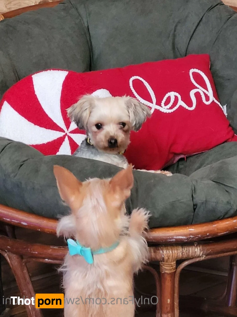 🐰Huni Buni🐰 14547683