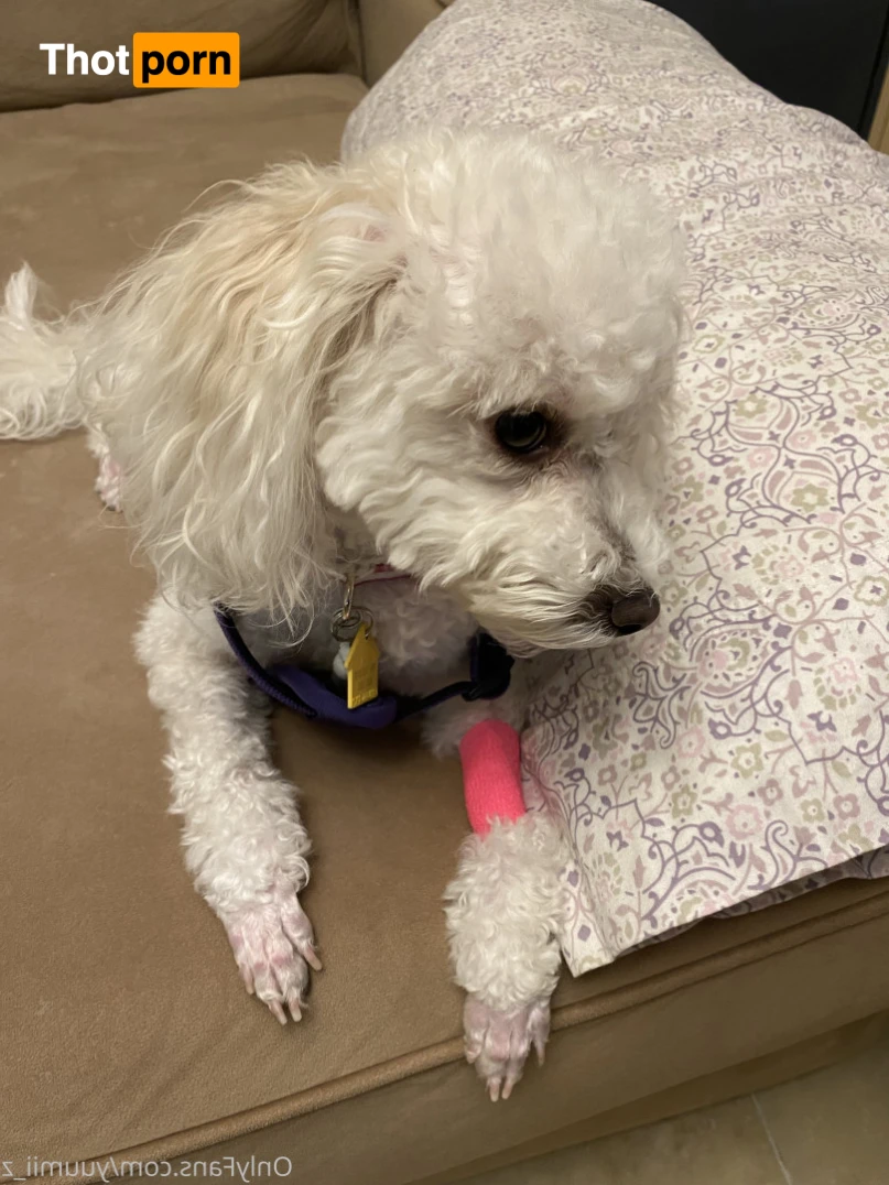 Yuumii 🍓 12537935