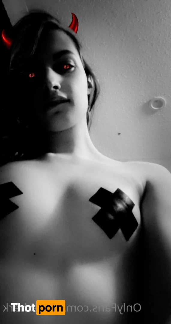 Acute shark 12453424