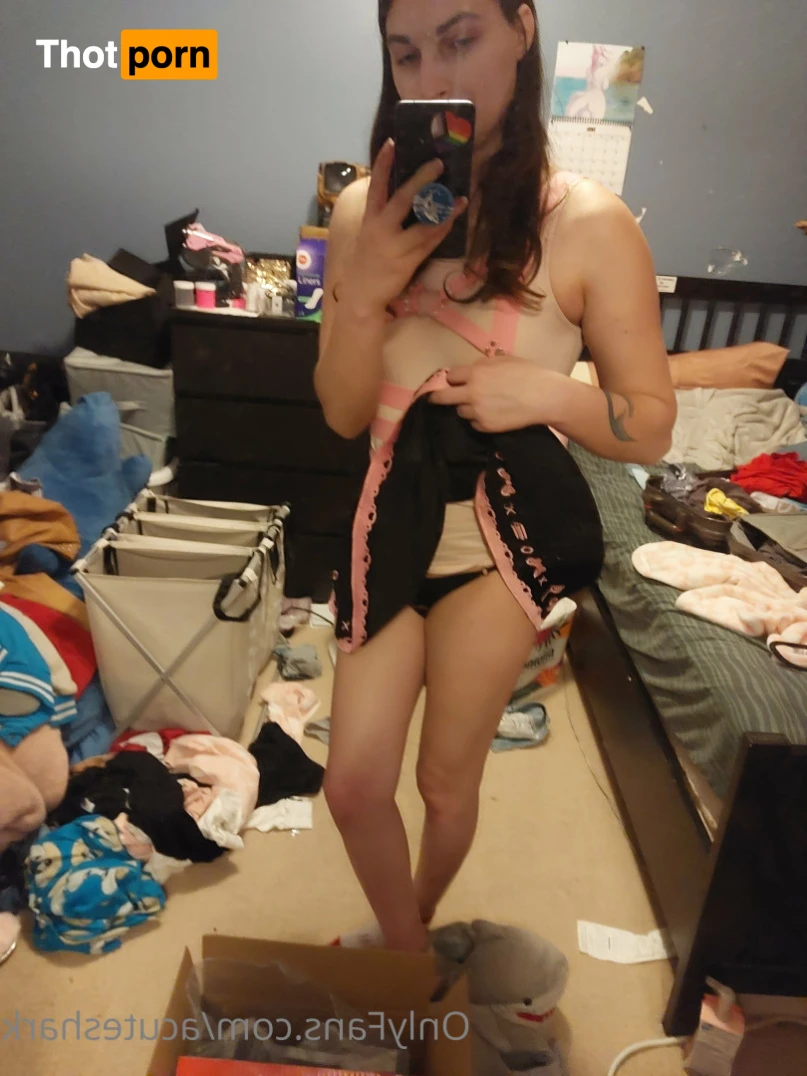 Acute shark 12453603