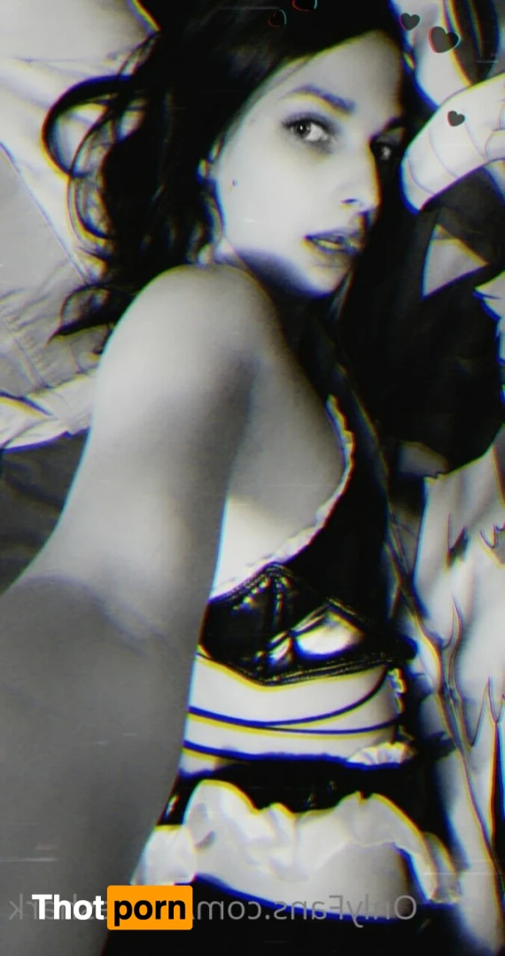 Acute shark 12453746