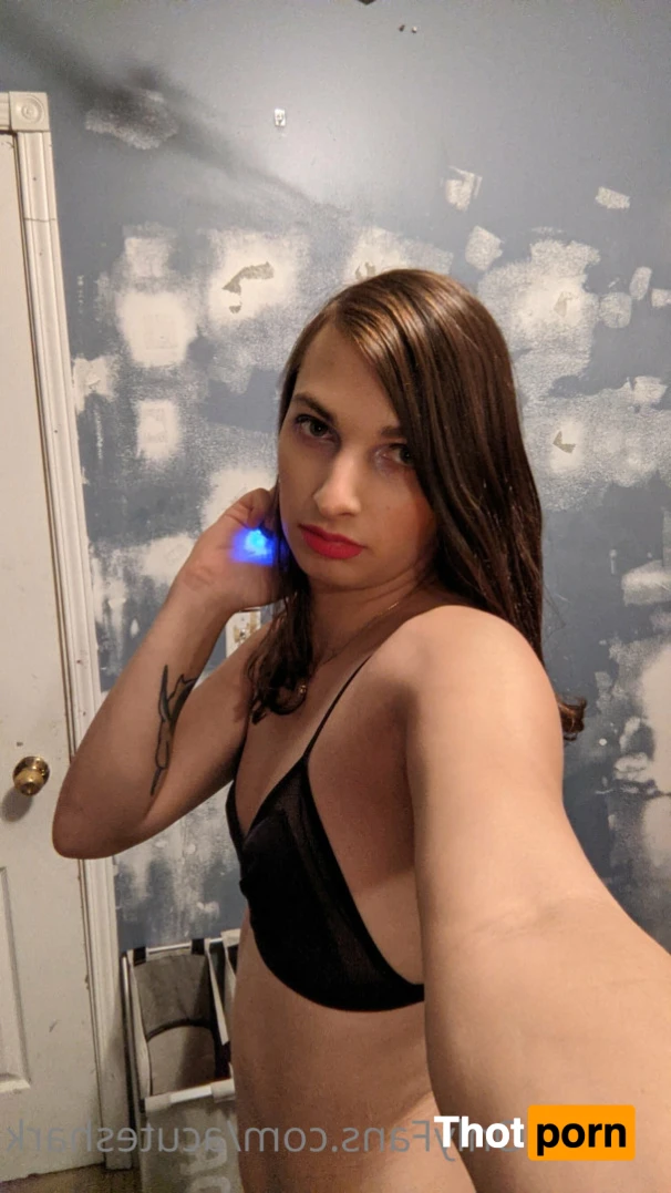 Acute shark 12453964