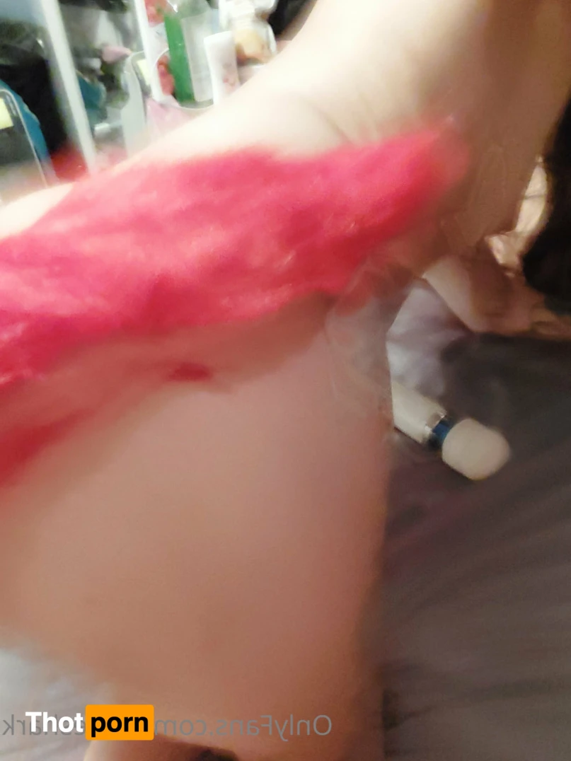 Acute shark 12454203