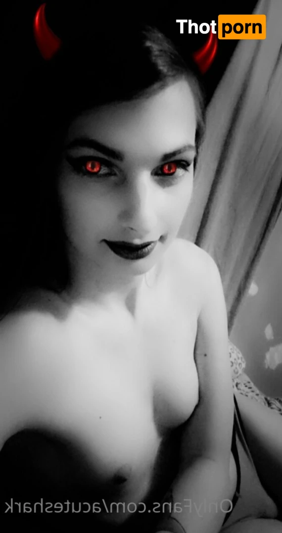 Acute shark 12454265