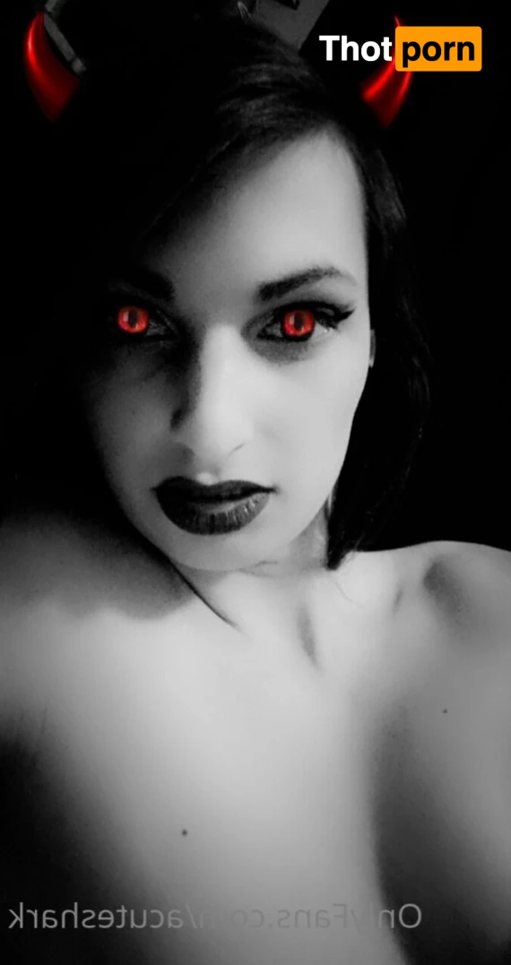 Acute shark 12454456