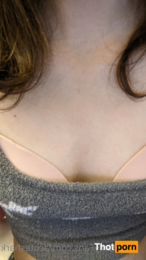 Acute shark 12454538