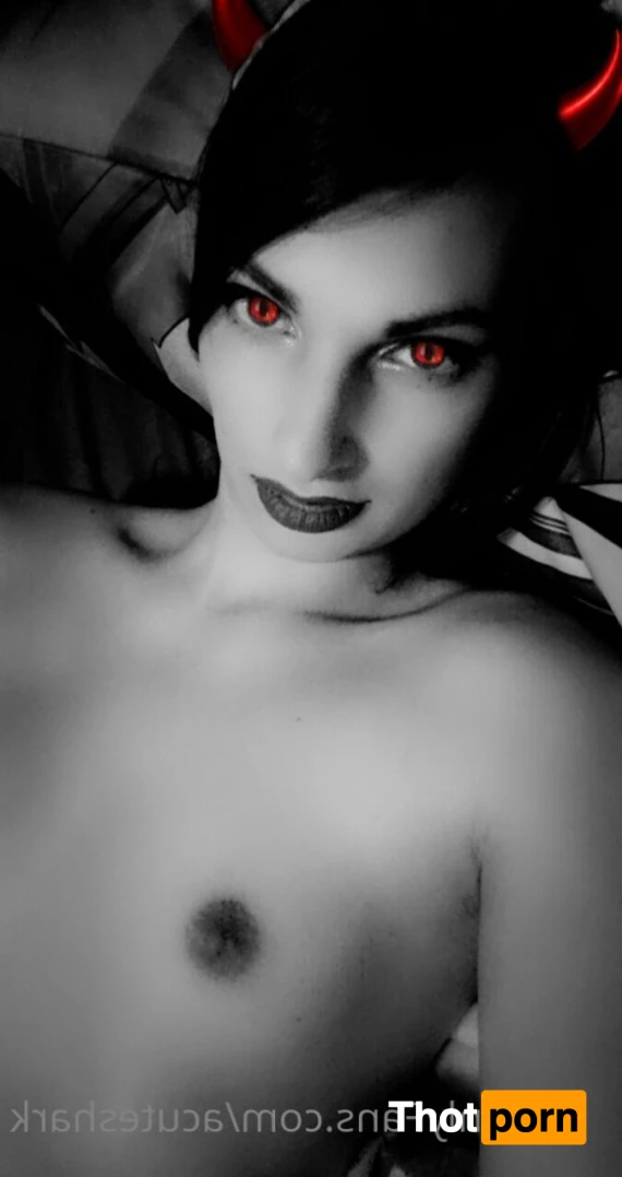 Acute shark 12454782