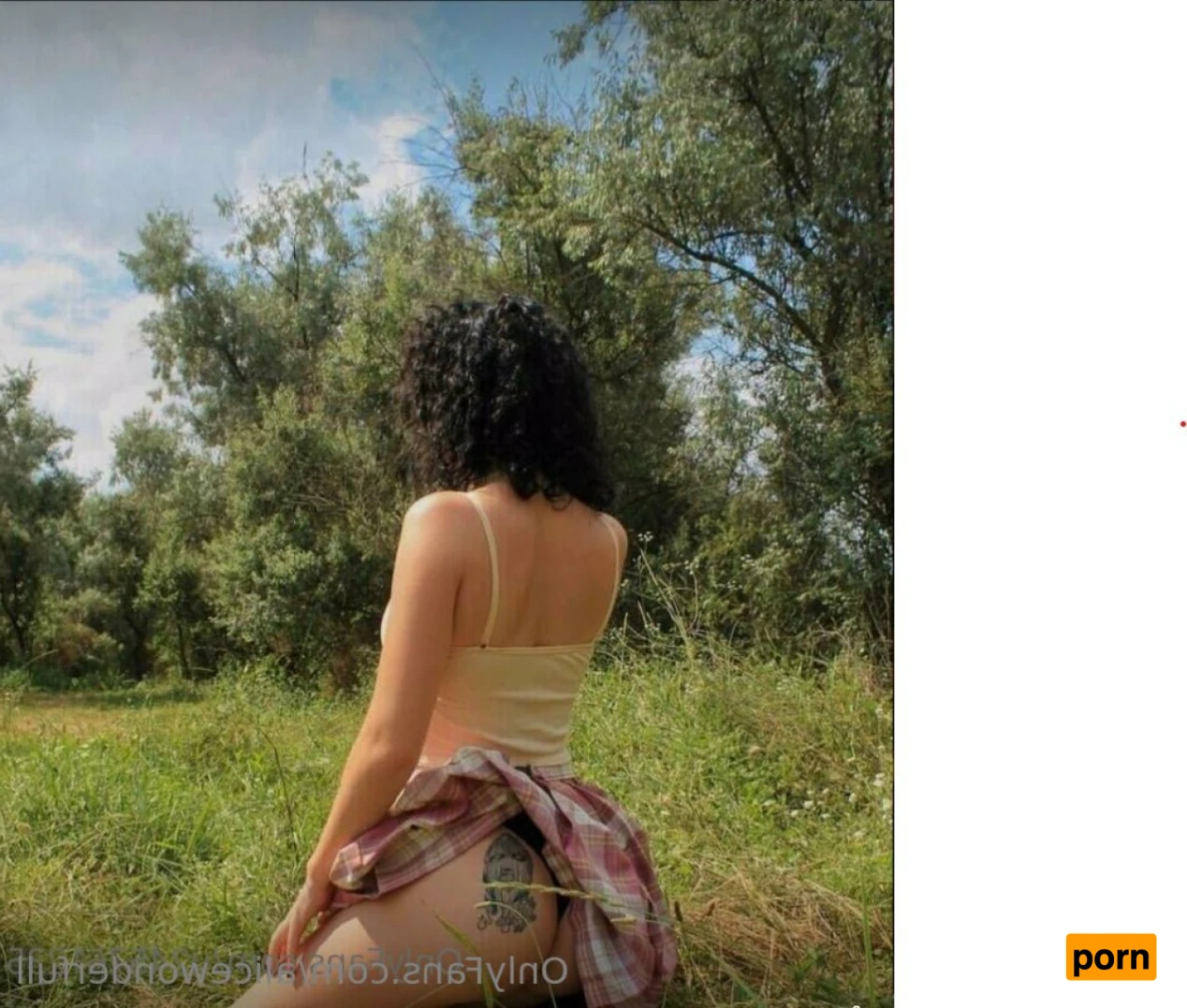 Alice Wonderful 12043715