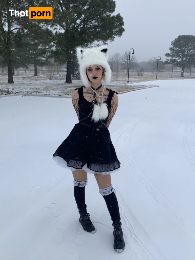 echo / kitten 12014311