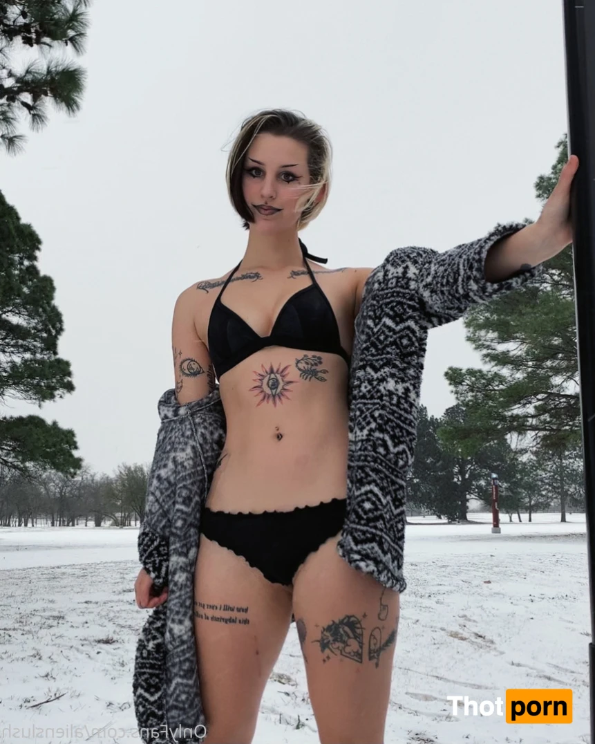 echo / kitten 12014361