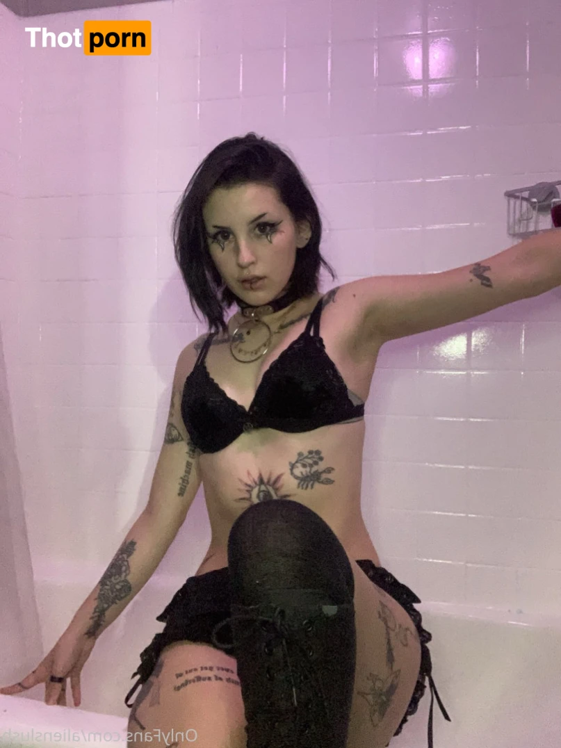 echo / kitten 12014447