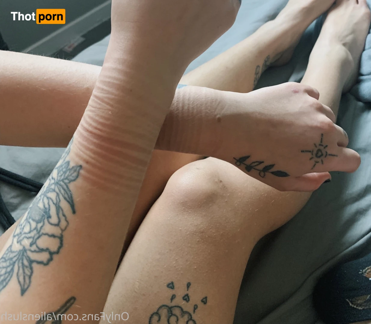 echo / kitten 12014492