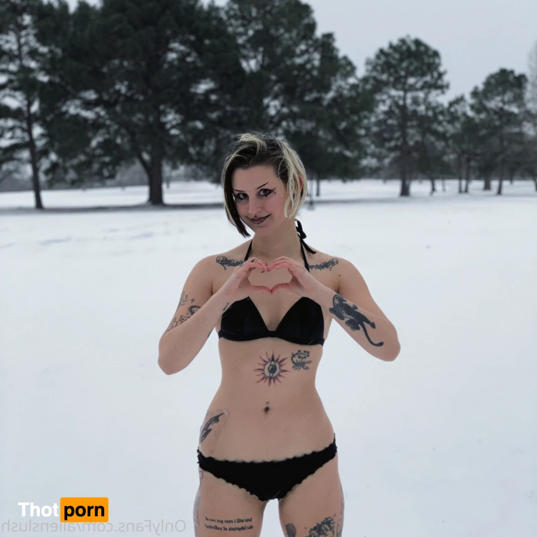 echo / kitten 12014605