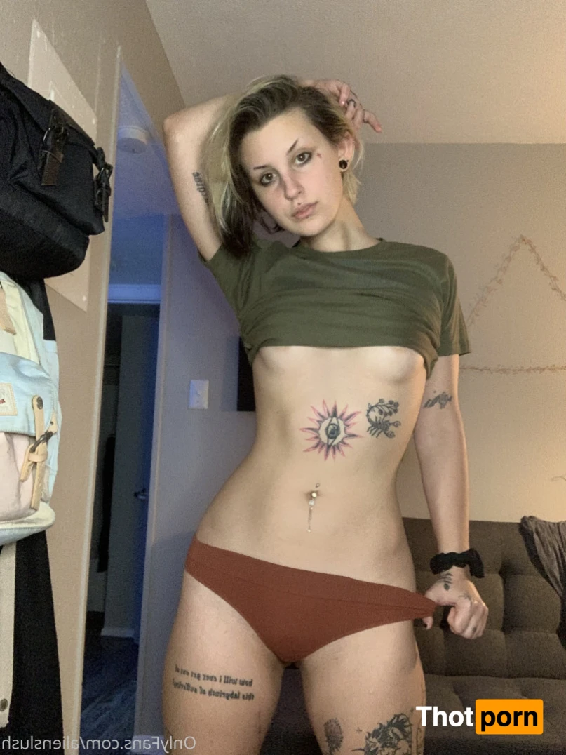 echo / kitten 12014639