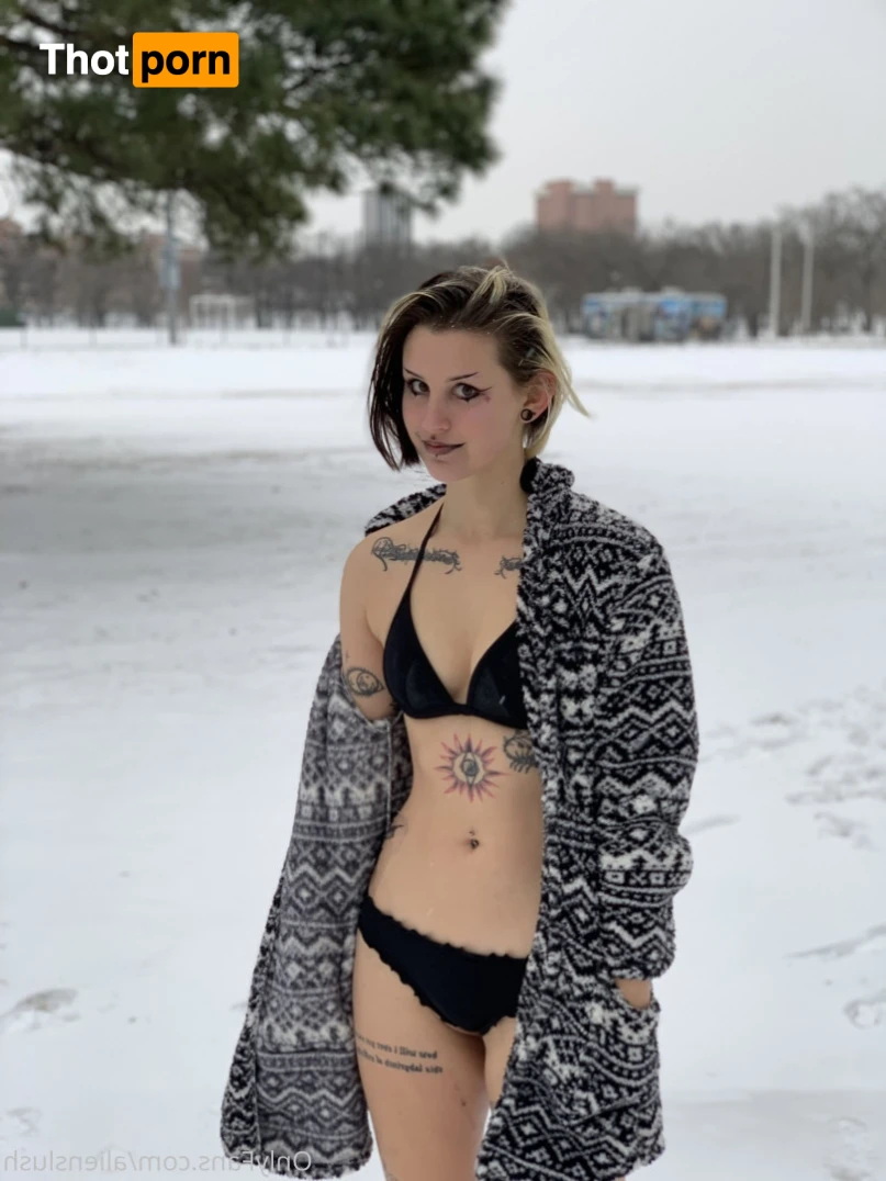 echo / kitten 12014678